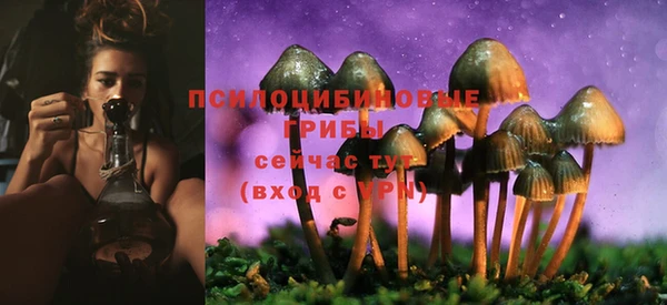 марки lsd Приозерск